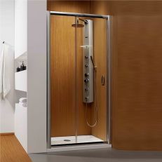 Душові двері Radaway Premium Plus DWJ 100 см (33303-01-08N)