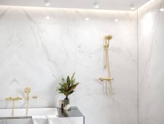 Ручной душ Hansgrohe Raindance Select S 120 3jet EcoSmart полированное золото (26531990) — фото 3