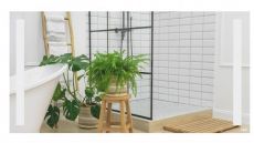 Зеркало с LED-подсветкой Qtap Mideya 120 см QT20783502W (QT20783502W)